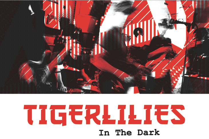 Tigerlilies "In the Dark" Album Cover
